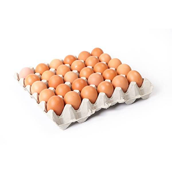 Medium Eggs-(Size 3)-1x3001